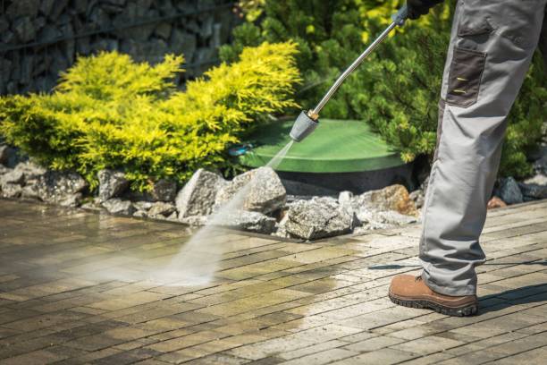 Boat and Dock Cleaning in Rockwood, MI