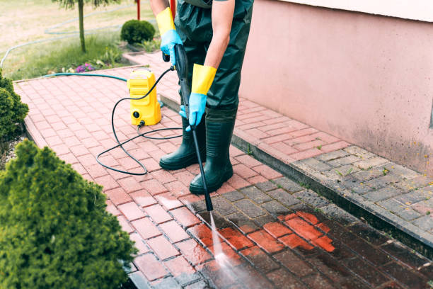 Best Pool Deck Cleaning  in Rockwood, MI