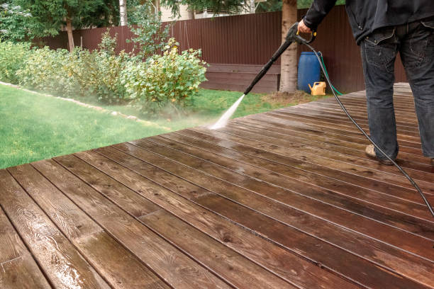 Best Soft Washing  in Rockwood, MI